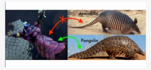 Evidence That The New Hero Is A Pangolin And Not An