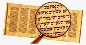 Torah Scroll After Separating Every Parasha, Printing - Document