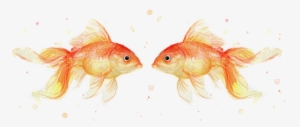 Click And Drag To Re-position The Image, If Desired - Top View Watercolor Goldfish