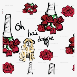 Oh Hai Doggie, The Room Movie, Tommy Wiseau Wallpaper - Garden Roses