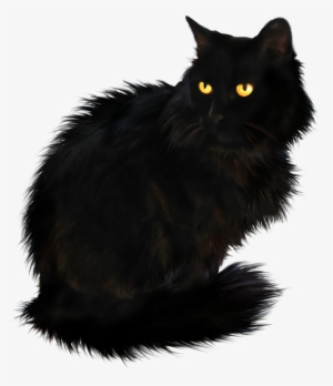 Render De Um Gato Preto - Black Cat Png