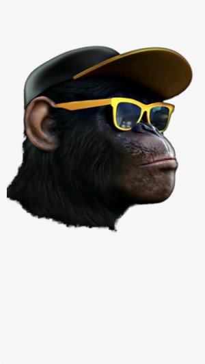 Share This Image - Monkey Hipster Png