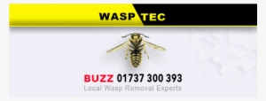 Wasp Nest Removal, Redhill - Wasptec - Wasp Nest Removal Coulsdon