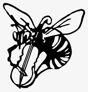 This Free Icons Png Design Of Musical Wasp