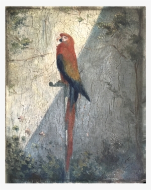 French School Impressionist Painting Of " The Parrot" - Painting
