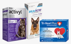 Earn Cash Back With Mypet Rewards When Protecting Your - Bravecto Flea And Tick Chew For Large Dog 20-40kg