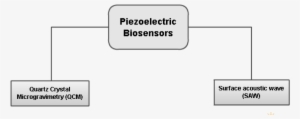 Piezoelectric Biotransducer Classification - Market