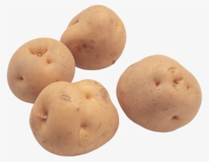 Clip Art Of Potato