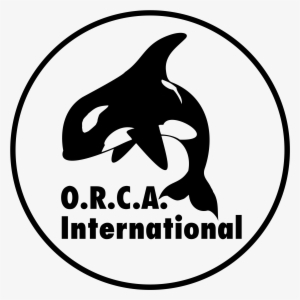 Orca International Logo Png Transparent - Killer Whale