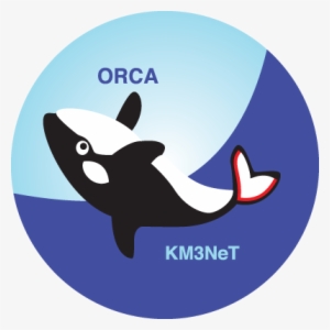 The Aim Of Orca Is To Measure The Neutrino Mass Hierarchy - Km3net Orca