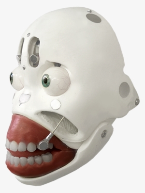 Robotic Head - Sex Robot Skull