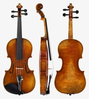 Shop - Violin To Model