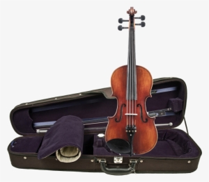 Wolfganggunther Vascc155 Sacconi - Violin