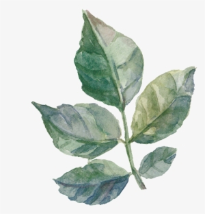 Leaf Painting