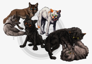Wolf Pack Transparent Image - Wolf Pack Transparent Background
