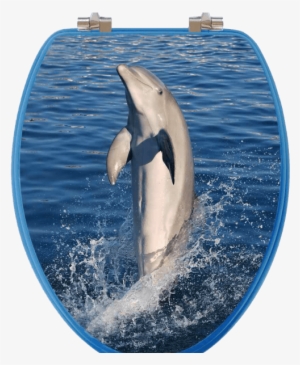 Dolphins Elongated Toilet Seat