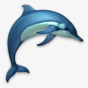Dolphins 3d On The Mac App Store - Dolphins 3d