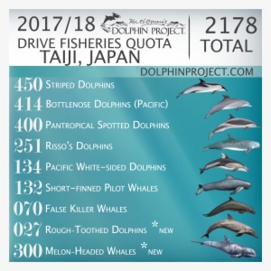 2017/18 Drive Fisheries Quota, Taiji, Japan - Taiji Japan Dolphin Slaughter 2018