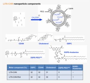 Figure S1 Lita Nanoparticle Design Principles And Percentage - Nanoparticle