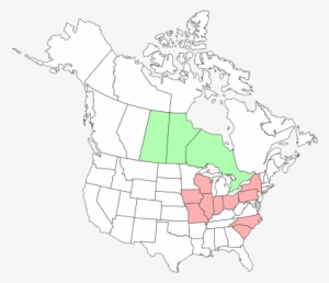 Dannella Lita - Outline Of Map Of Usa