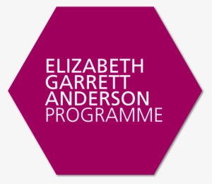 elizabeth garrett anderson nhs leadership academy