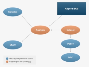 Aligned/ Mapped Sequence Reads - Diagram