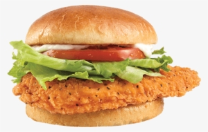 Wendy's Spicy Chicken Sandwich - Spicy Chicken Burger Wendys
