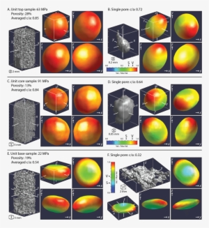 Ct Scans And 3-d Rose Plots For Vesicles Within Lava - Data