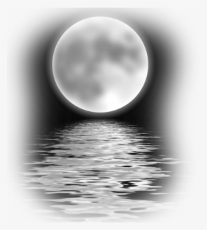 Celestal Moon Nite
