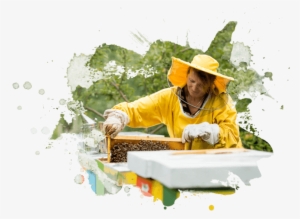 Women In Yellow Raincoat Works With Honecomb - Raincoat
