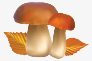 Free Png Mushroom Png Images Transparent - Mushrooms Clipart