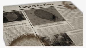 Fungi In The News Image - Fungus