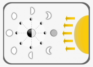 Diagram Showing Different Moon Phases - Moon Phases No Labels