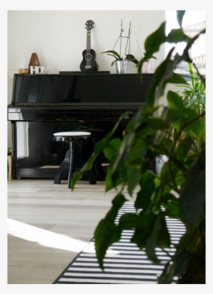 Green Piano Interior - Portable Network Graphics