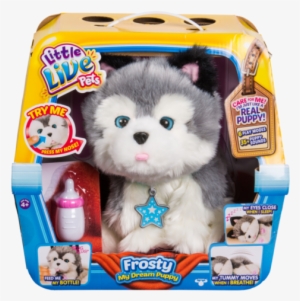 My Dream Puppy- Frosty - Little Live Pets Husky