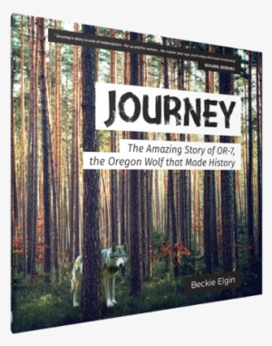 Journey Book Cover - Journey: The Amazing Story Of Or-7,