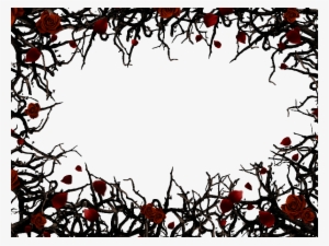 Roses And Thorns Border Frame Png Background Free Nature - Roses And Thorns Background
