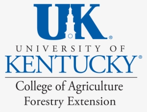 University Of Kentucky College Of Medicine