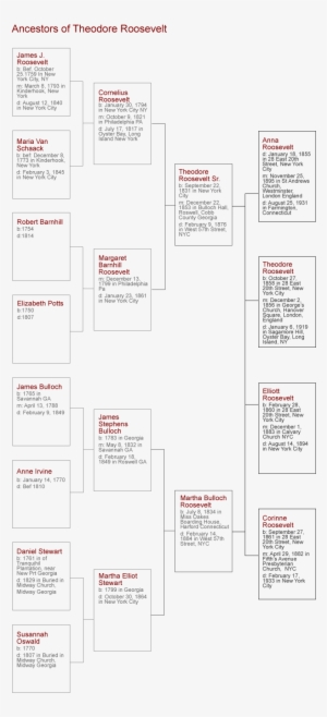 genealogy of theodore roosevelt - theodore roosevelt