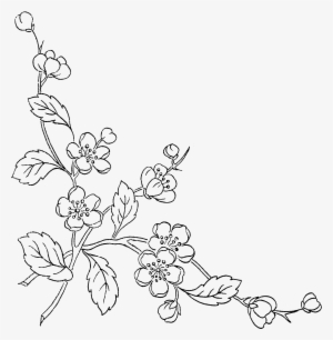 Flower Sketch Png - Line Art