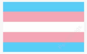 Transgender Monica Helms Flag - Blue Pink White Lgbt