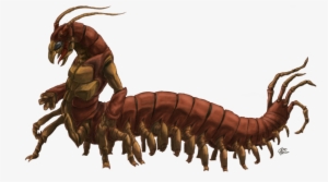 Drawing Insect Centipede - Centipede Man