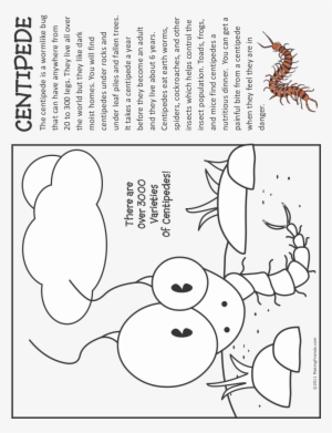 Bug Coloring Page - Girl Scouts Of The Usa