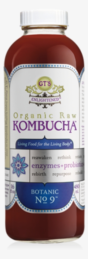 Gts Enlightened Organic Raw Kombucha - 16 Fl Oz Bottle