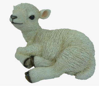 Download Amazing High-quality Latest Png Images Transparent - Vivid Arts Size-d Medium Real Life Sitting Lamb