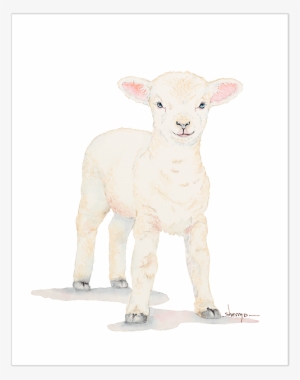 Baby Lamb Wall Art - Art