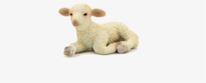 lamb lying down png