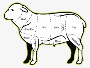 Koreo Lamb - Portable Network Graphics