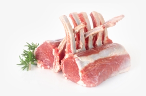 Lamb