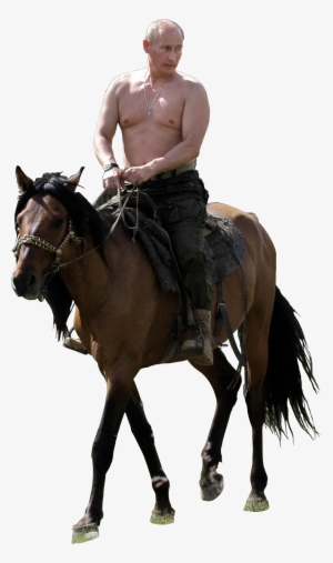 Putin Riding Png Clipart Black And White Stock